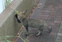 �����琅�����ޒ�ɂ��