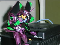 ��������EVA