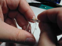 �L���m�s�[�̐؂�o��